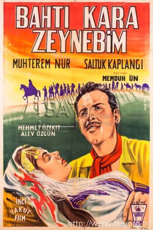 Zeynebin aski's poster