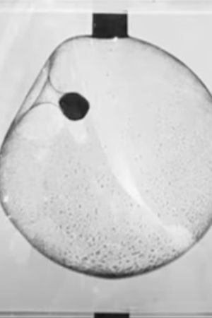 Ball Passing Through a Soap Bubble's poster
