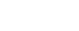 Not Cinderella's Type's poster