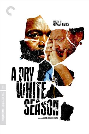 A Dry White Season's poster