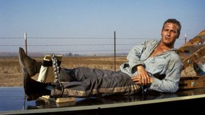 Cool Hand Luke's poster