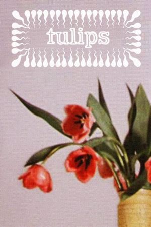 Tulips's poster