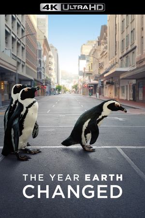 The Year Earth Changed's poster