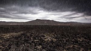 Mass Extinction: Life at the Brink's poster