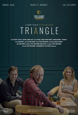 Triangle's poster