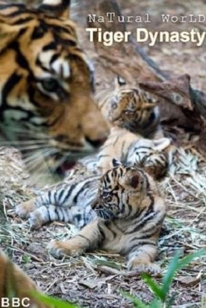 Tiger Dynasty's poster