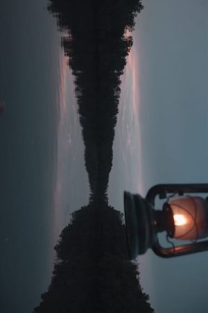 Firefly's poster