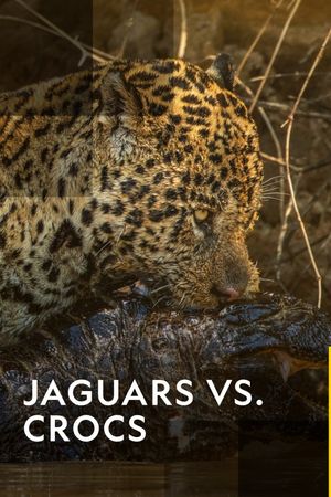 Jaguar vs. Croc's poster