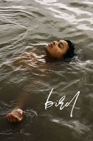 Bird's poster