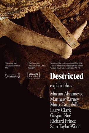 Destricted's poster