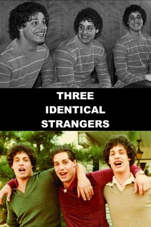 Three Identical Strangers's poster