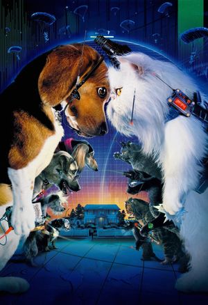 Cats & Dogs's poster