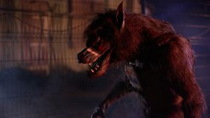 Werewolves's poster