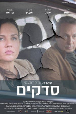 Fractures's poster