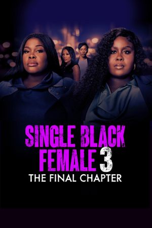 Single Black Female 3: The Final Chapter's poster