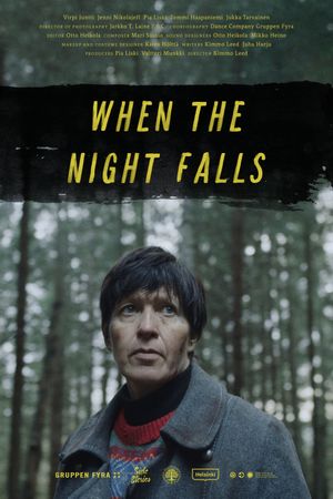 When the Night Falls's poster