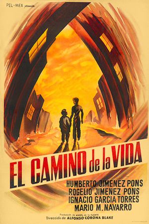 The Road of Life's poster