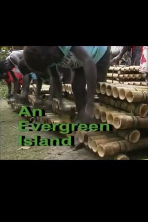 An Evergreen Island's poster