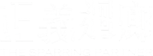 The Sparring Partner's poster