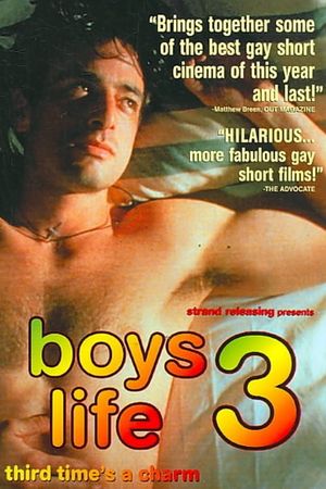 Boys Life 3's poster