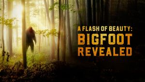 A Flash of Beauty: Bigfoot Revealed's poster