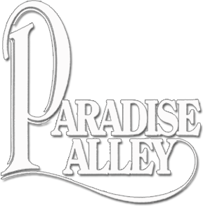 Paradise Alley's poster