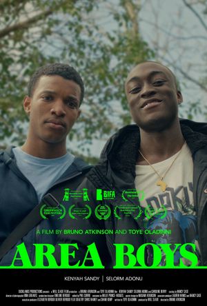 Area Boys's poster