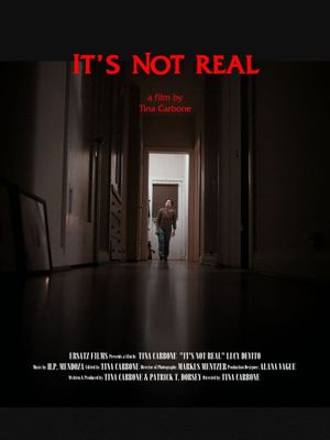 It's Not Real's poster