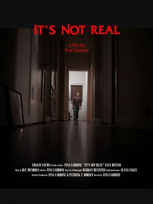 It's Not Real's poster image