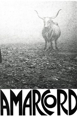 Amarcord's poster