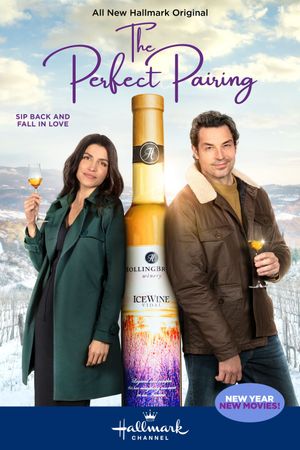 The Perfect Pairing's poster