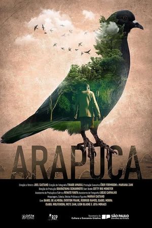 Arapuca's poster