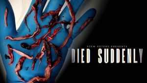 Died Suddenly's poster