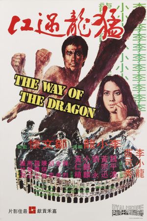 The Way of the Dragon's poster