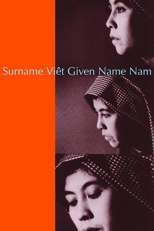 Surname Viet Given Name Nam's poster