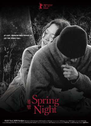 Spring Night's poster
