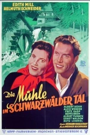Die Mühle im Schwarzwäldertal's poster