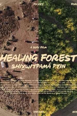 Healing Forest's poster