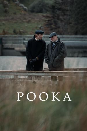 Pooka's poster image