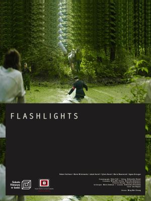 Flashlights's poster