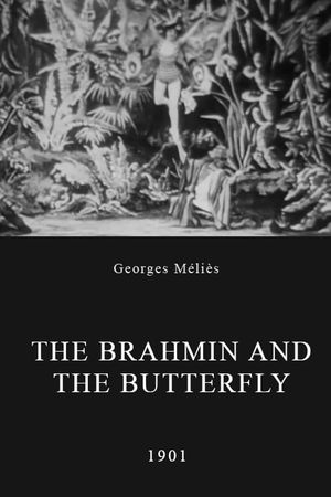 The Brahmin and the Butterfly's poster