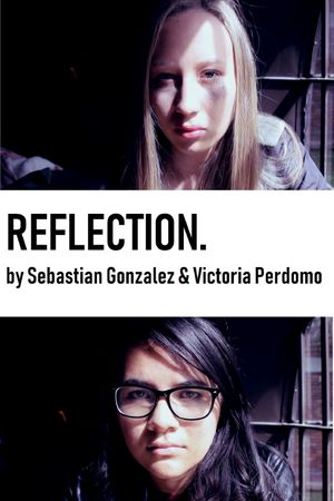 Reflection's poster