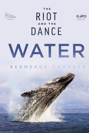 The Riot and the Dance: Water's poster