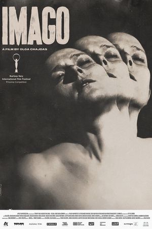 Imago's poster
