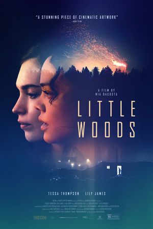 Little Woods's poster