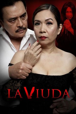 La Viuda's poster image