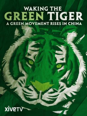 Waking the Green Tiger's poster