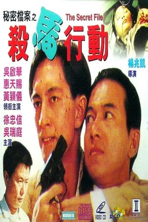 The Secret File's poster