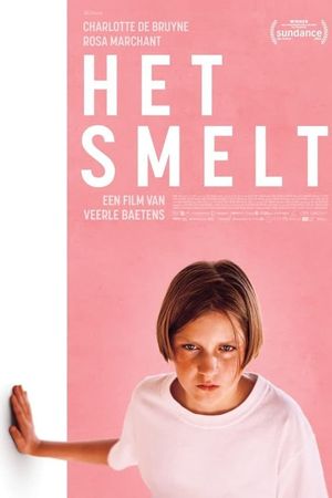 When It Melts's poster