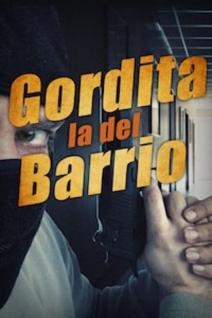 Gordita la del Barrio's poster